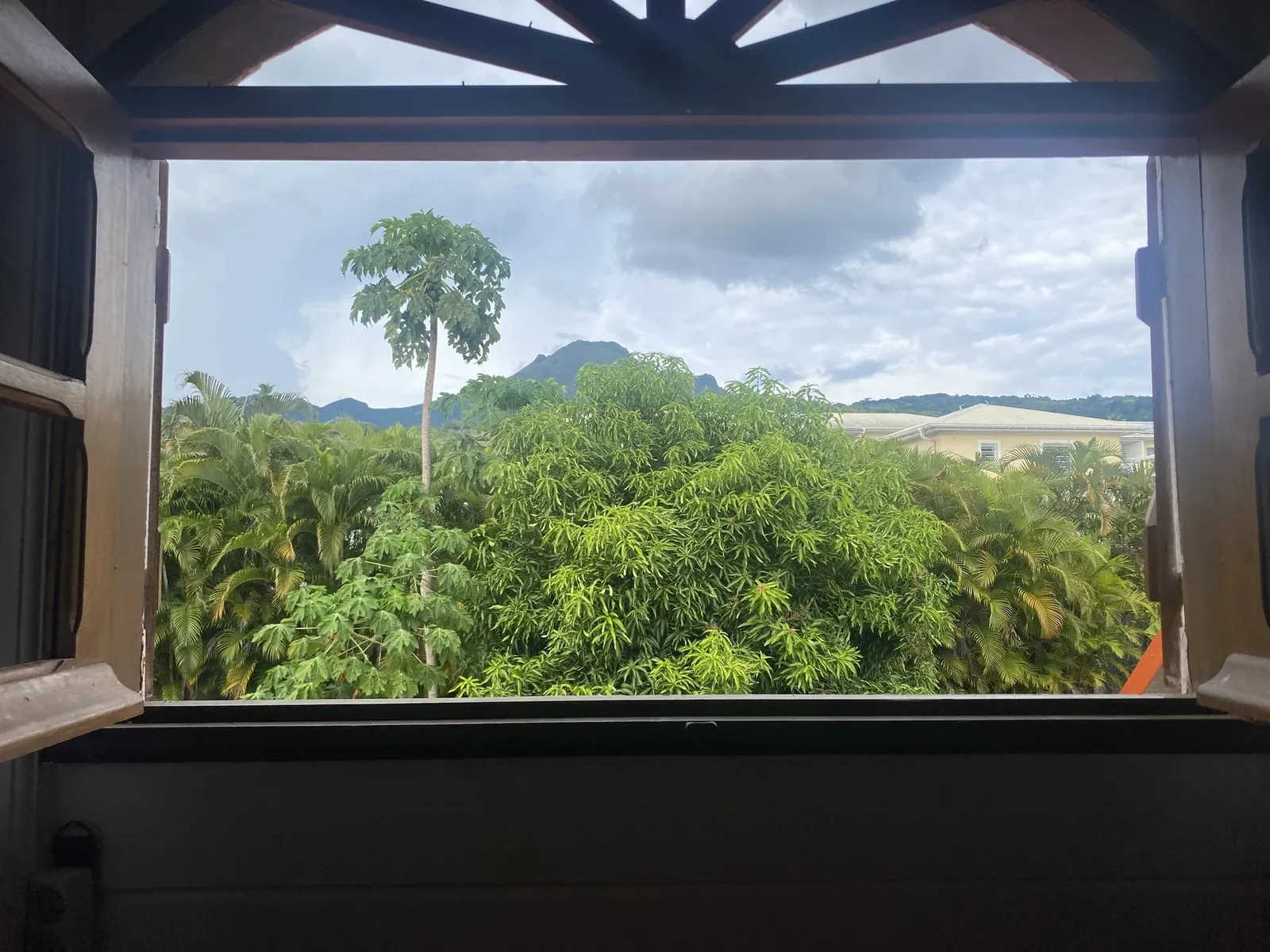 Vue sur la montagne Pelée et la végétation tropicale depuis une fenêtre de la villa